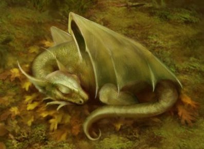 dragon qui dort